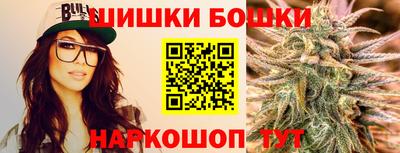 индика Дубна
