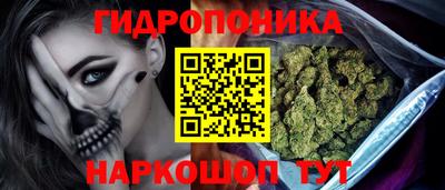 индика Дубна