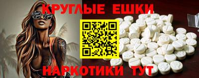 индика Дубна
