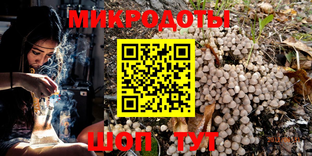 Галлюциногенные грибы Psilocybe  Вход с VPN  Нововоронеж 